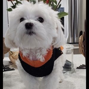 Meet your Posher, Caridad